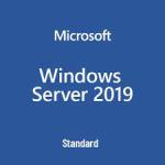 Windows Svr Std 2019 English 1pk DSP OEI 16Cr NoMedia/NoKey (APOS)AddLic