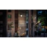 Aplica LED pentru exterior cu senzor de miscare Philips Capricorn, 6W (47W), 600 lm, lumina calda (2700K), IP44, 78x214mm, Antracit