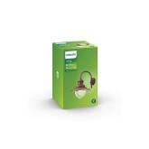 Aplica tip felinar pentru exterior Philips Raindrop, 1xE27, max 60W, IP44, 381x300x428mm, Bronz