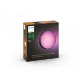 Aplica LED RGB pentru exterior Philips Hue Daylo, 15W (80W), 1050 lm, lumina alba si color (2000-6500K), IP44, 220x76mm, Negru