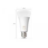 Bec LED inteligent Philips Hue A67, Bluetooth, E27, 13W (100W), 1600 lm, lumina alba (2200-6500K)