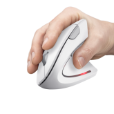 MOUSE Trust VERTO WIRELESS ERGO MOUSE WHT 