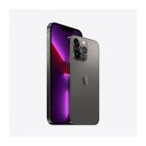 APPLE IPHONE 13 PRO MAX 6.7