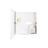 AWO 152 este o cutie metalica cu transformator, de interior,Dimensiuni: 280 x 290 x 80 mm