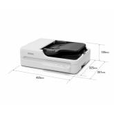 EPSON WorkForce DS-1730 DESKTOP A4 SCANNER, Tip Flatbed, Rezolutie 1.200 DPI x 1.200 DPI, ADF 600 DPI x 600 DPI, Formate hartie: A4 (21.0x29.7 cm), A5 (14.8x21.0 cm), A6 (10.5x14.8 cm), B5, B6, Letter, Letter Legal, Susra lumina: ReadyScan LED technology,