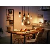 Bec LED inteligent vintage (decorativ) Philips Hue Filament Globe G125, Bluetooth, E27, 7W (40W), 550 lm, lumina calda (2100K)