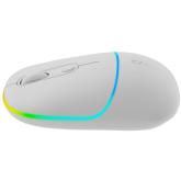 CANYON mouse MW-22 2in1 BT/ Wireless Snow White