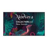 Display profesional LG 55