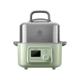 BUYDEEM Multi function Digital Food Steamer, model G564, color Cozy Greenish, EU