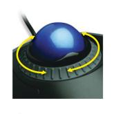 MOUSE Kensington - trackball, 