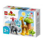 10971 Wild Animals of Africa V29