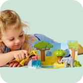 10971 Wild Animals of Africa V29