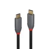 Cablu Lindy USB C-USB C Anthra  2m negru 
