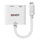 Adaptor Lindy LY-43289, USB 3.1 Type C to DisplayPort with PD, alb