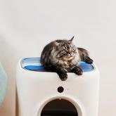 PETKIT Cooling Cat Pad