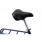 Bicicleta Pliabila Pegas Practic Retro 3S Albastru Cobalt