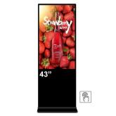 Totem de interior EVOBOARD 43