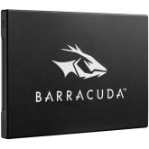 Barracuda